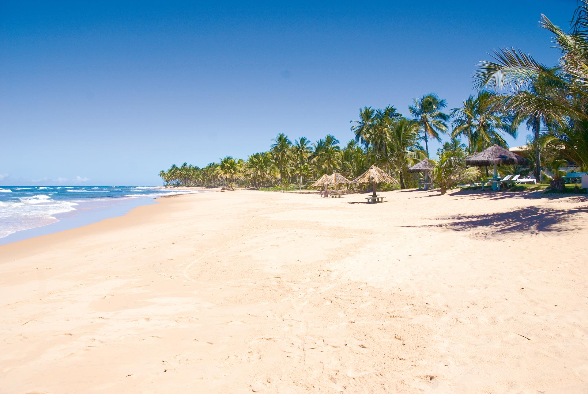 Expansive, empty beach in Brazil with fine, light sand, surrounded by palm trees and thatched sunshades under a blue sky.