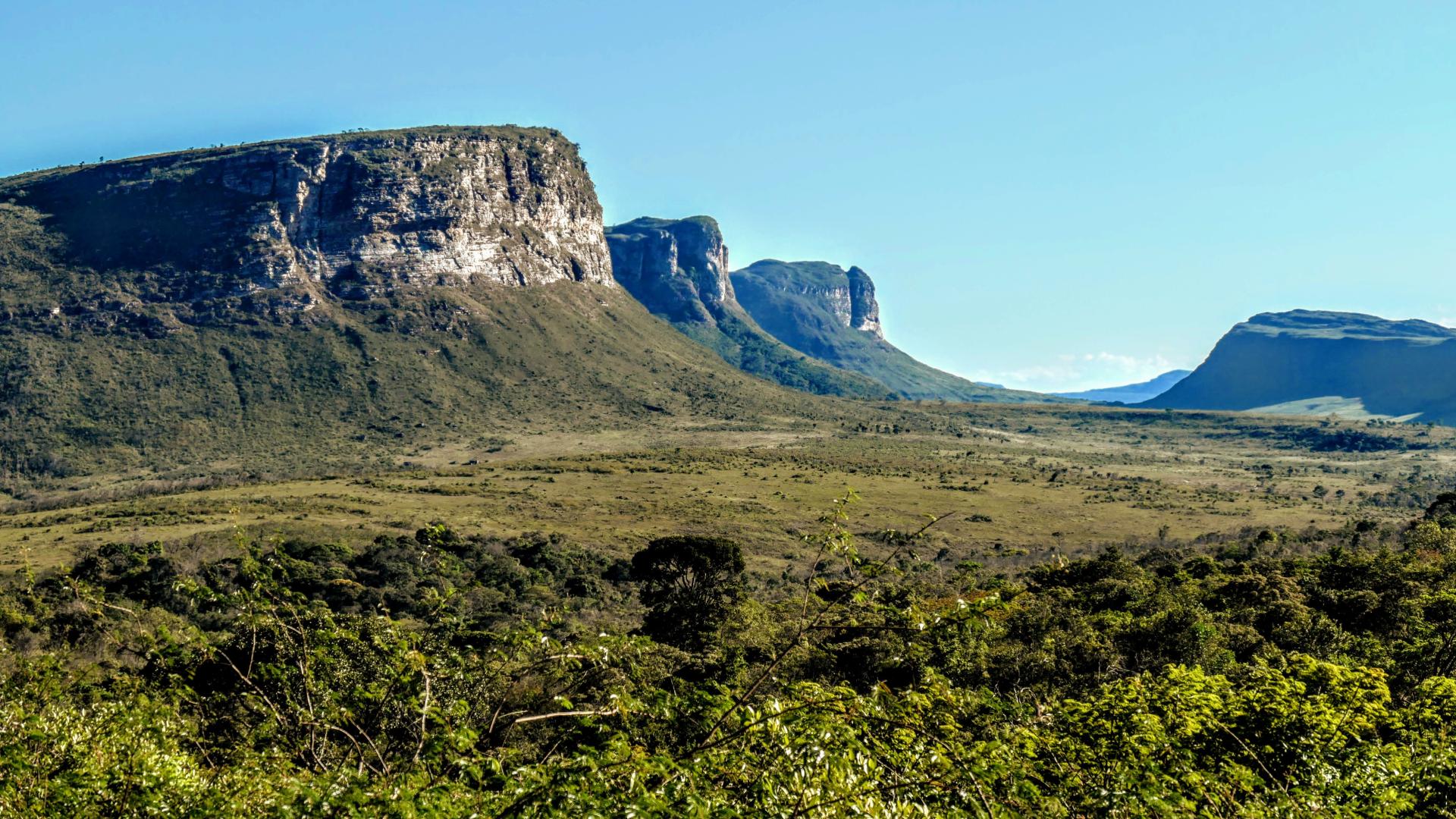 Mountainous landscape in Chapada Diamantina National Park, Brazil, with lush greenery and striking rock formations under a clear blue sky.