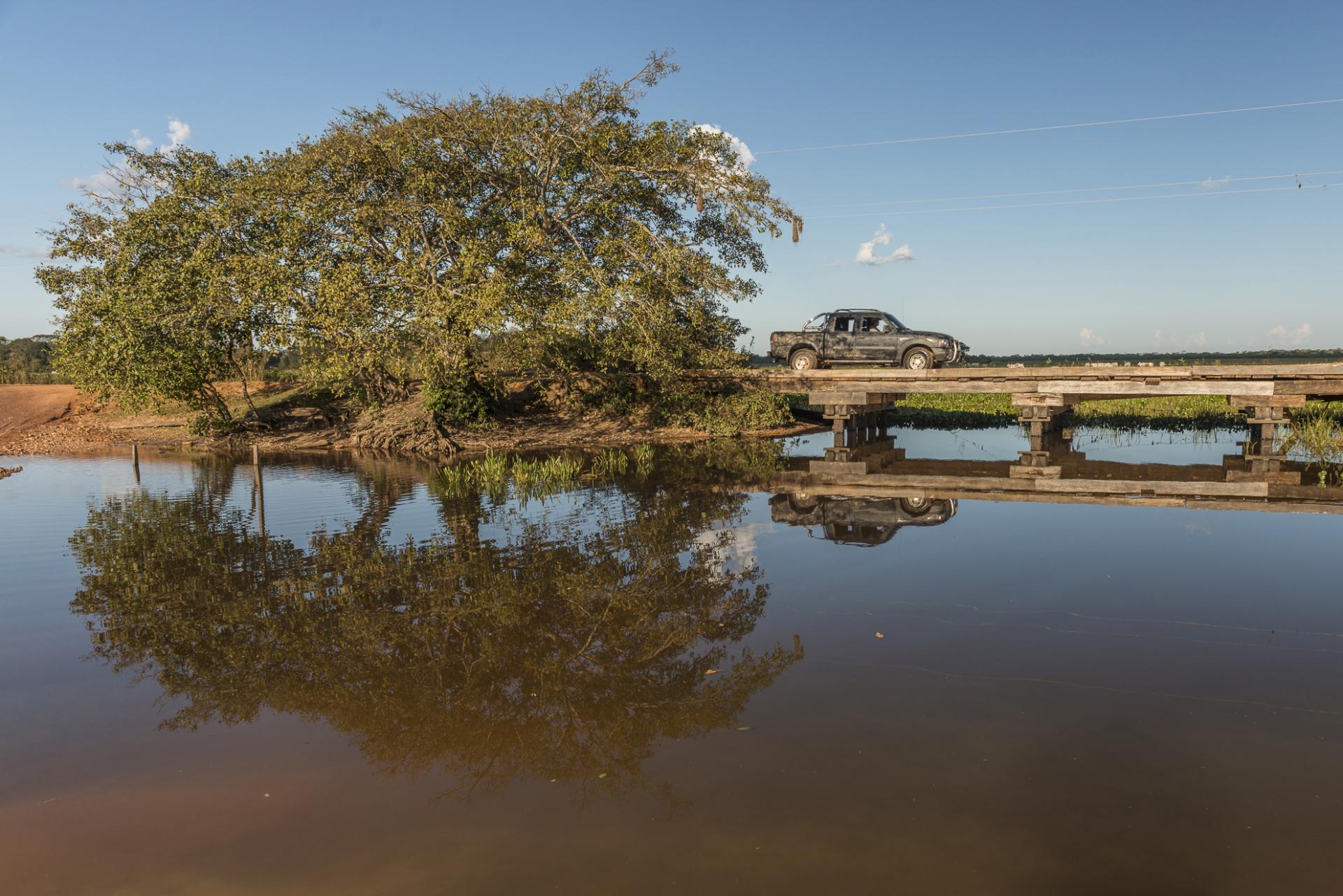 Pickup on a wooden bridge in the Pantanal reflecting the surrounding landscape in the water.