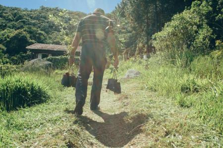 Man carrying small plants as part of the Salve Floripa environmental project for reforestation and environmental education on the island.