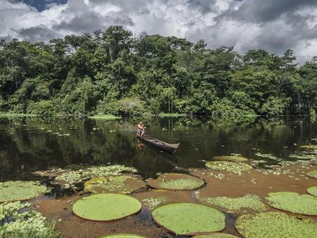 Nature in the Amazon